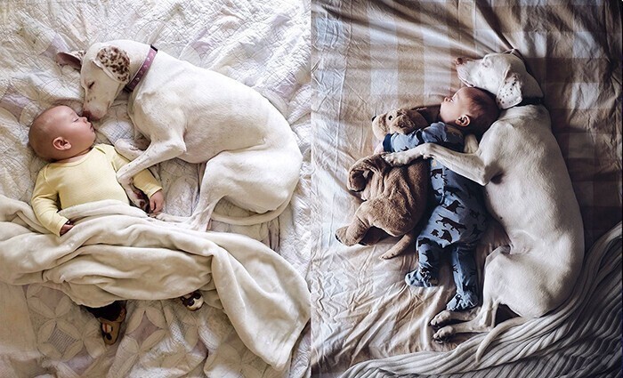 Фотоографии, которые доказывают, что ребёнку просто необходима собака