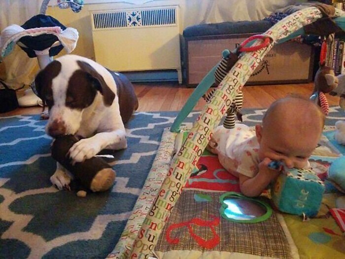 Фотоографии, которые доказывают, что ребёнку просто необходима собака