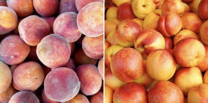 Персики и нектарины - тоже один и тот же фрукт