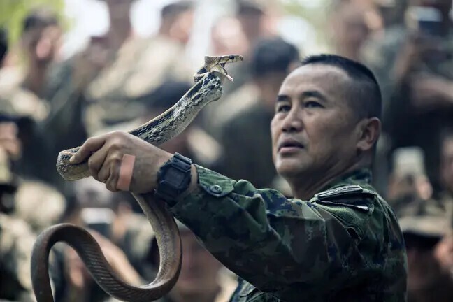 Учения солдат в Таиланде могут спровоцировать новую пандемию