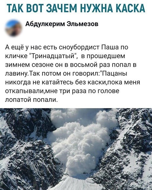 Смешные и познавательные картинки