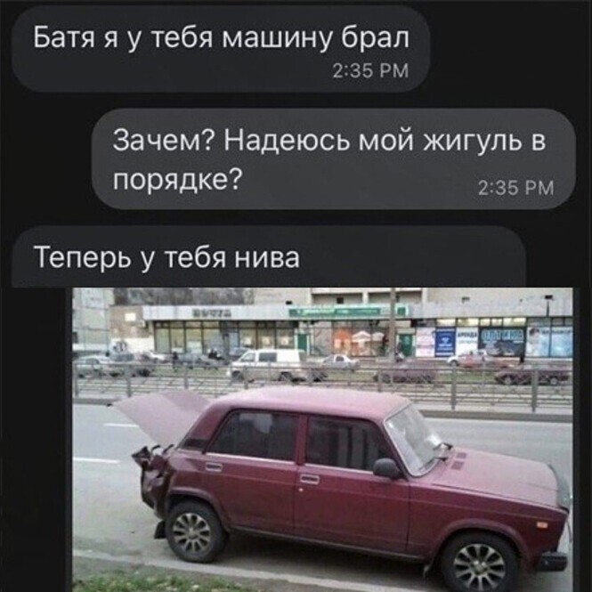 Смешные и познавательные картинки