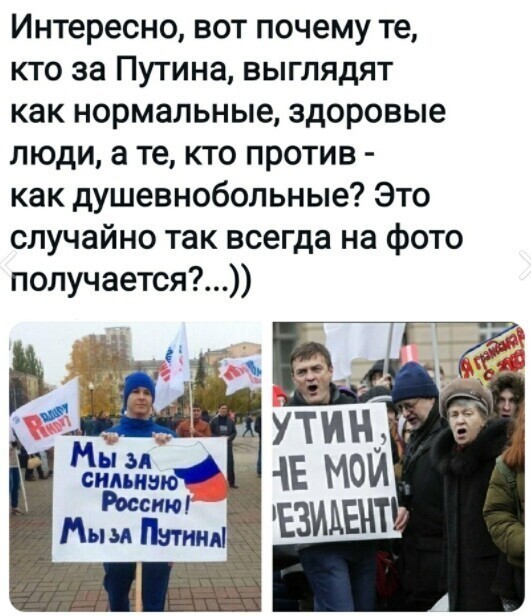 О политике и не только