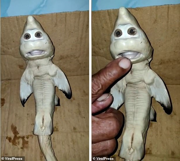 Рыбак в Индонезии поймал акулу с человеческим лицом