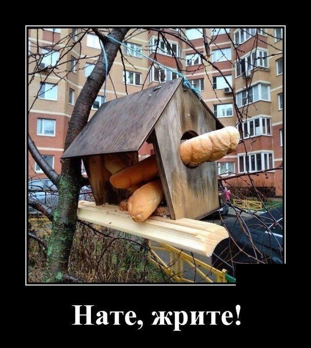 Приколы февраля 