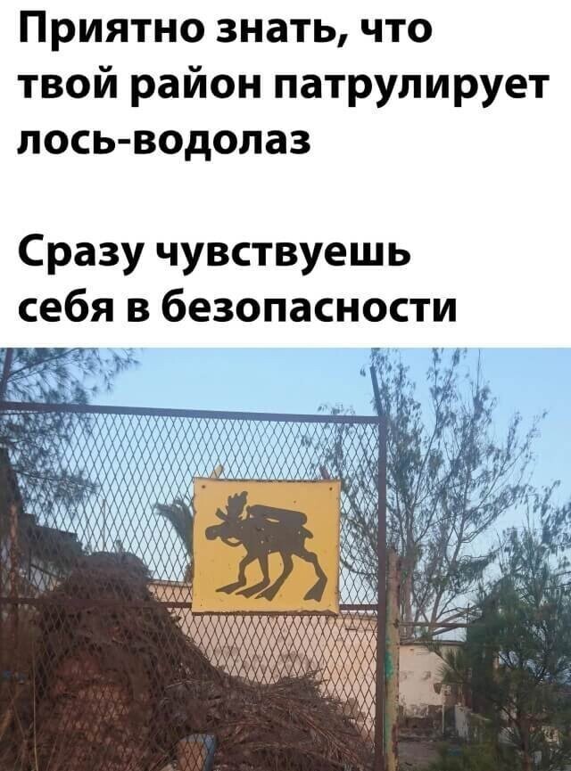 Намешалось