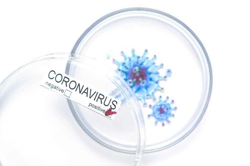 Свобода выбора: платный и бесплатный тест на коронавирус