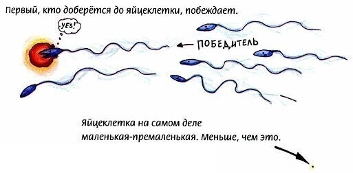 Книжка про любовь (для продвинутых детишек)