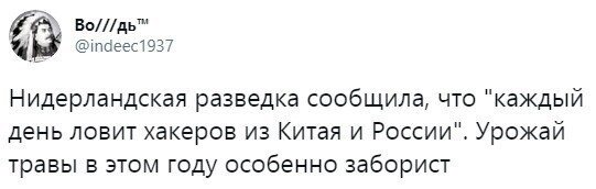 О политике и не только