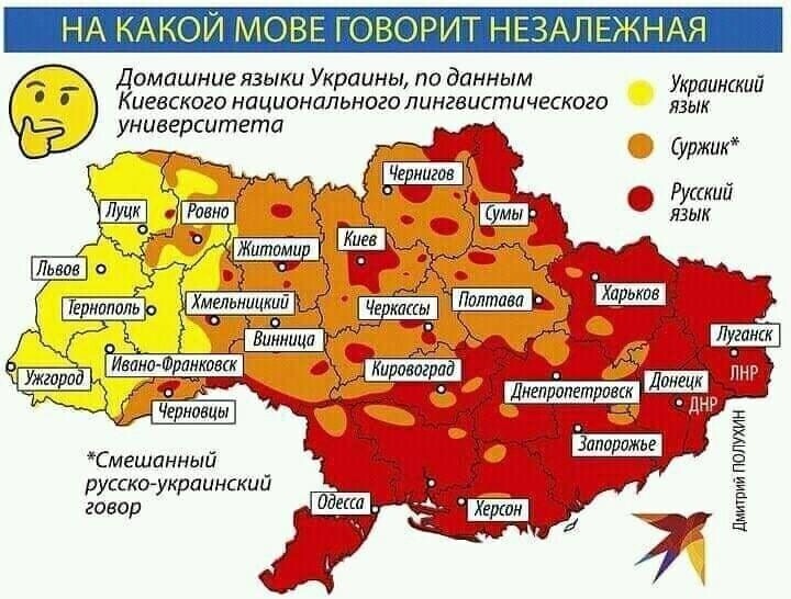 О политике и не только
