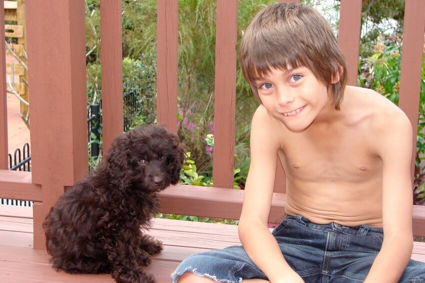 Георг, Елизавета и наш пёс Браун