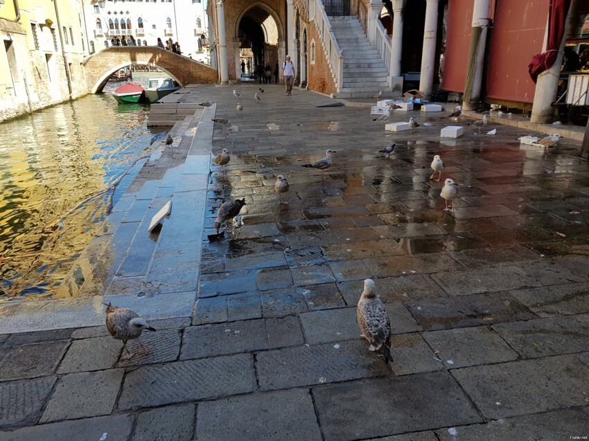 И ещё Венеция в конце сентября