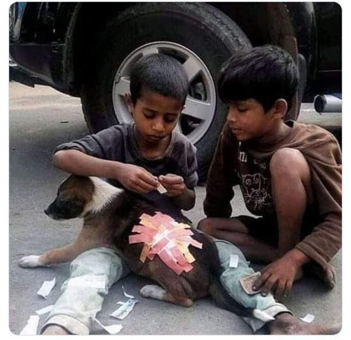 У этих маленьких бездомных индийцев нет денег даже на обувь, но все же они нашли деньги на пластырь, чтобы вылечить щенка"