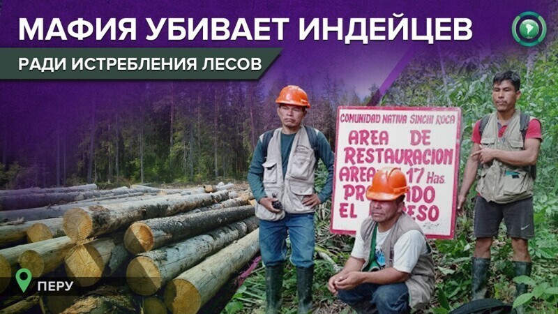Мафия лесорубов жестоко убила лидера индейской общины в Перу