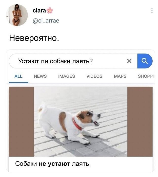 Скрины из соцсетей