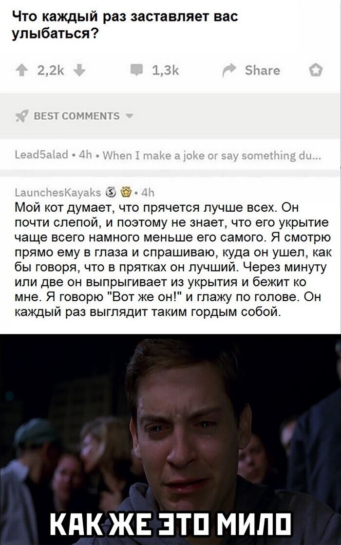 Скрины из соцсетей