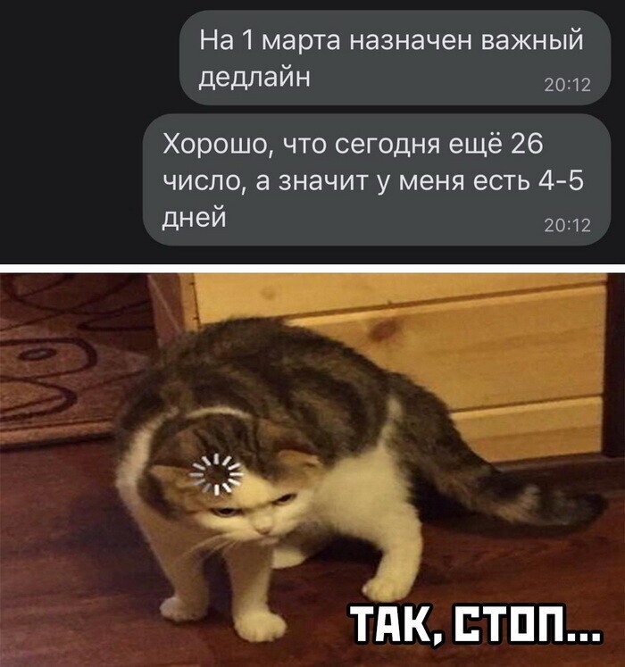 Скрины из соцсетей