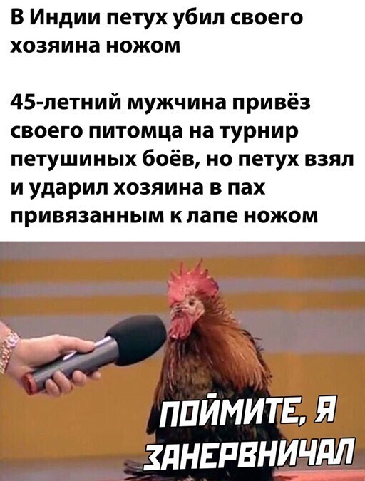 Смешные и познавательные картинки