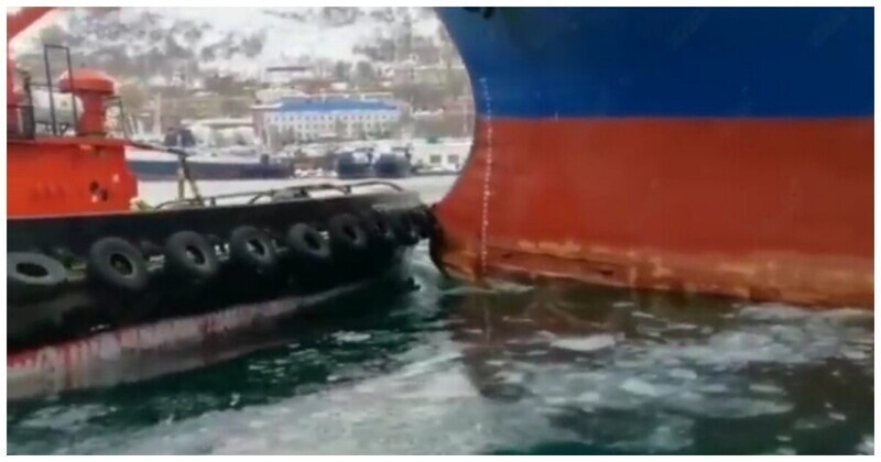 Рефрижераторное судно врезалось в портовый буксир на Камчатке