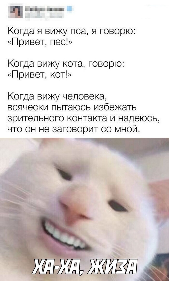 Скрины из соцсетей