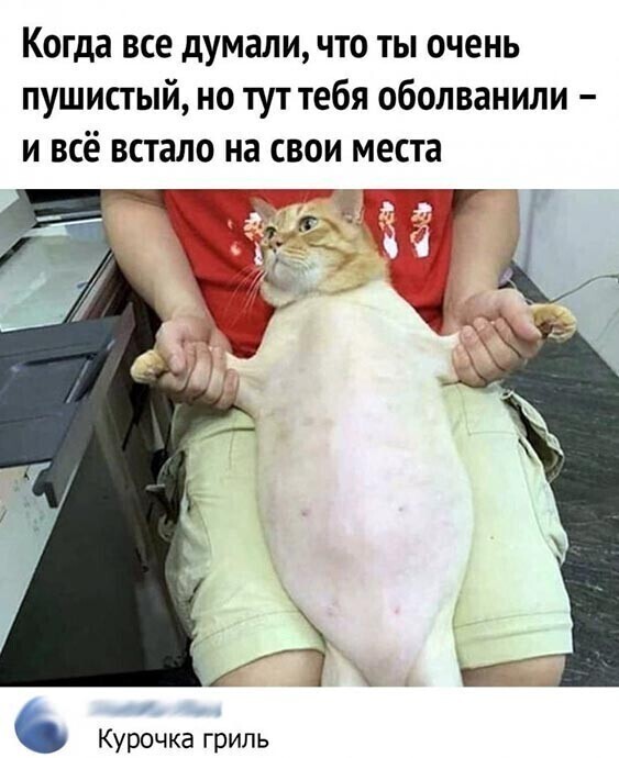 Скрины из соцсетей