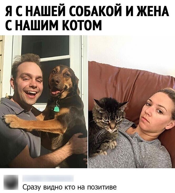 Скрины из соцсетей