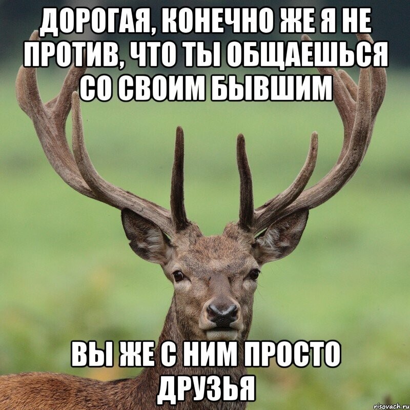 Как не стать "аленем" после развода