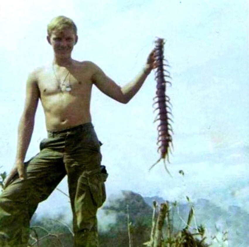 Солдат держит сороконожку в джунглях во Вьетнаме, 1967.