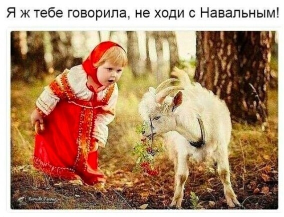 О политике и не только