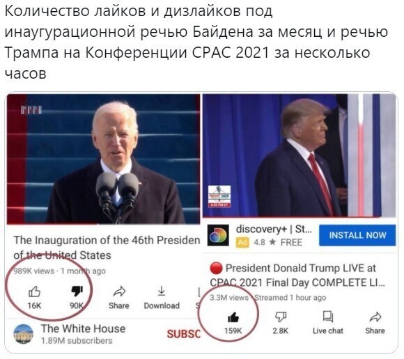 О политике и не только