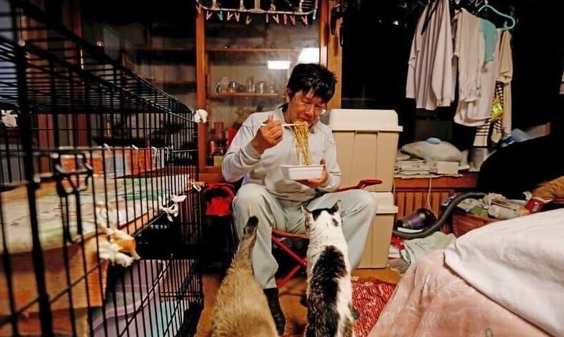 Японец остался жить рядом с "Фукусимой" ради чужих кошек