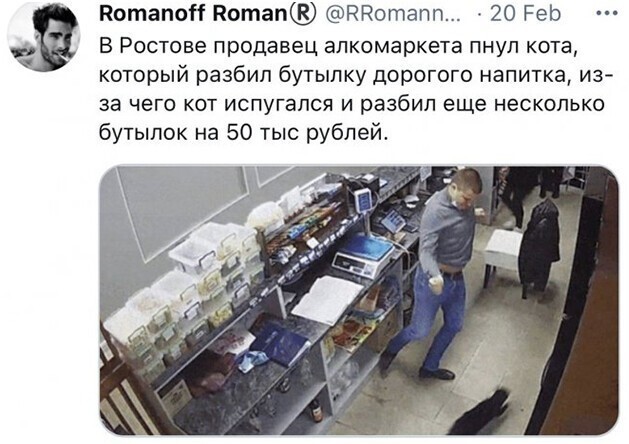 Смешные и познавательные картинки