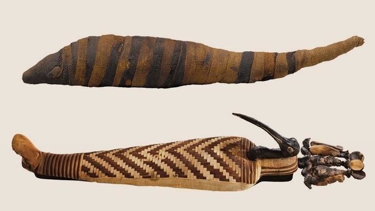 Древнеегипетский бандаж: искусство наложения бинтов и загробный зоопарк