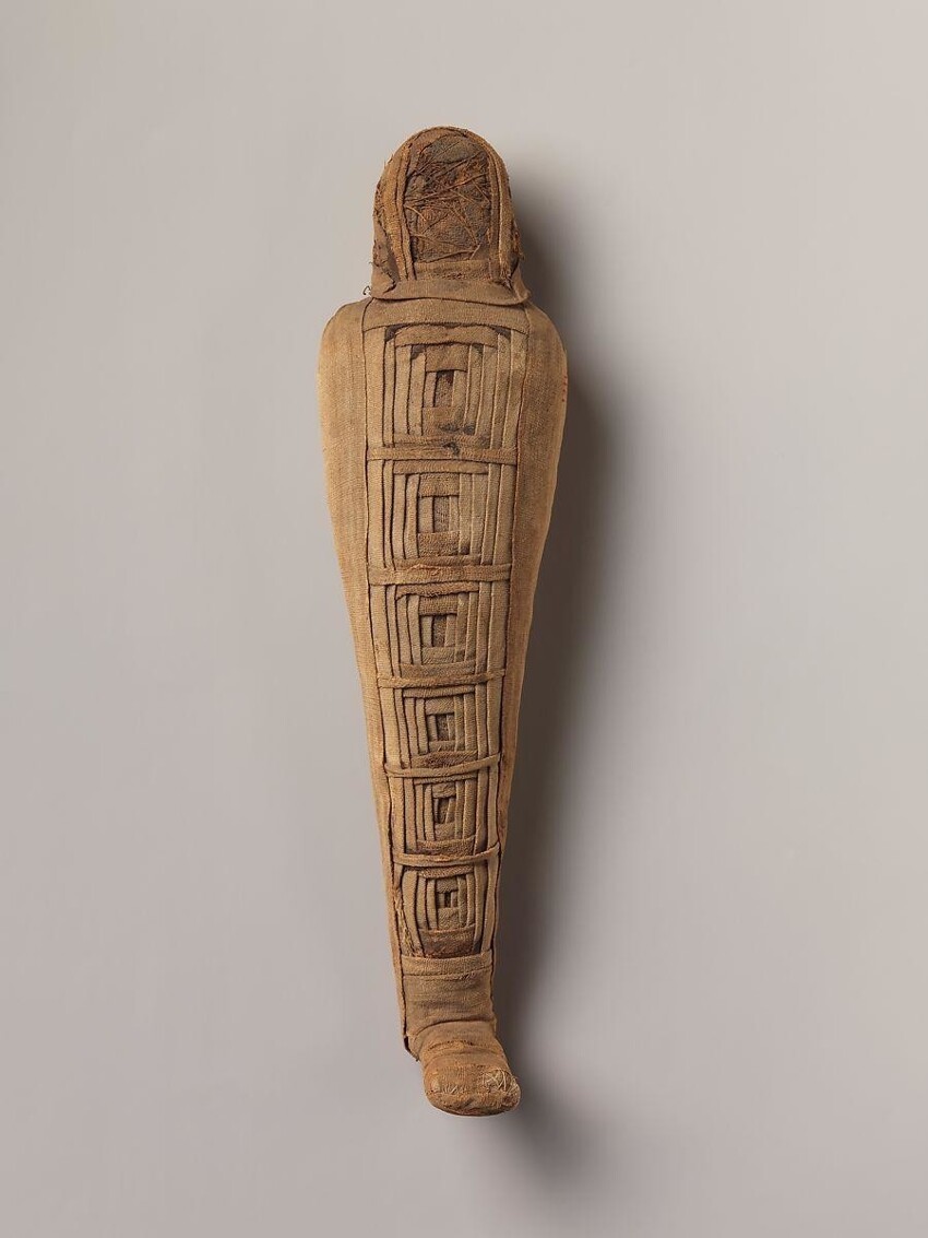 Мумия священного  сокола ок. 400 г. до н.э. – 100 г. н.э