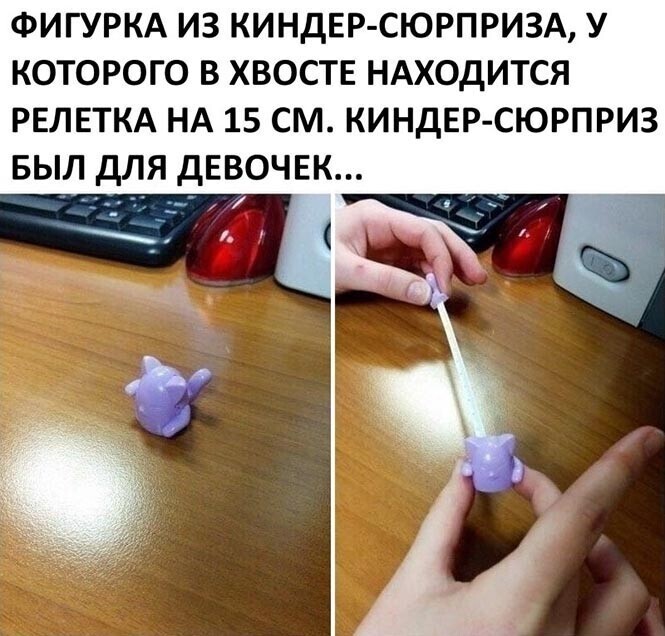 Смешные и познавательные картинки