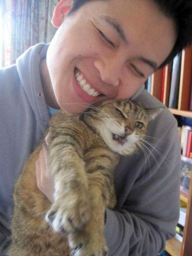 "К черту твои селфи!": 22 фото о том, как коты не любят фоткаться