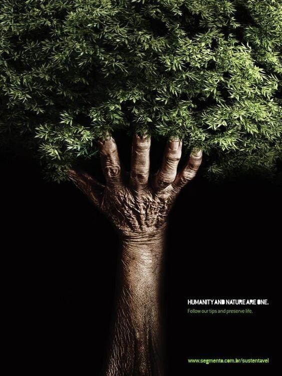 Данный постер напоминает людям, что нужно беречь природу