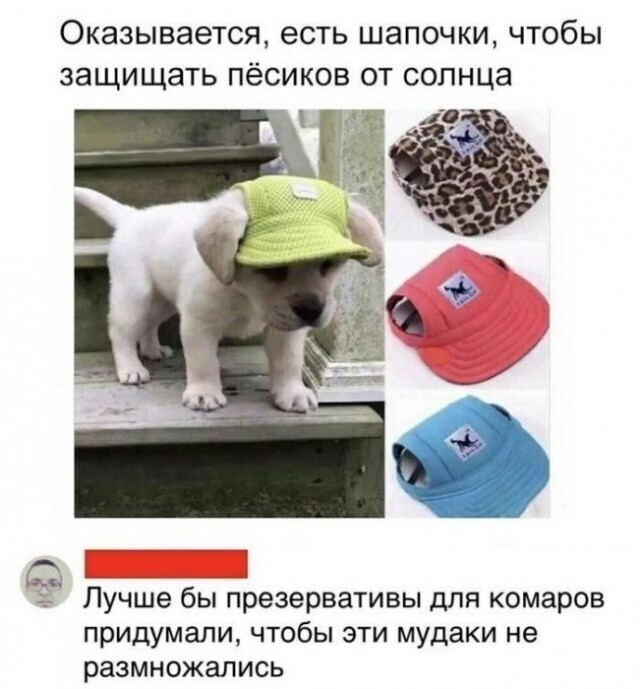 Правда жизни