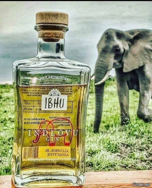 Южноафриканский джин Indlovu сделан из слоновьего помета, а если точнее - нас...