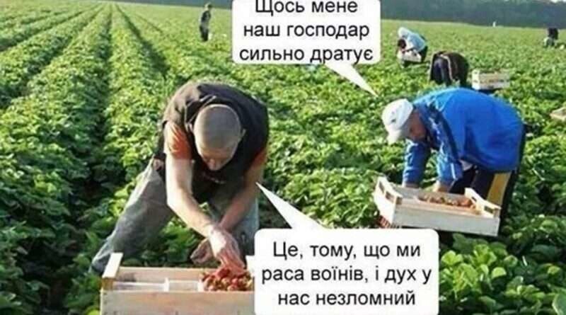 О политике и не только