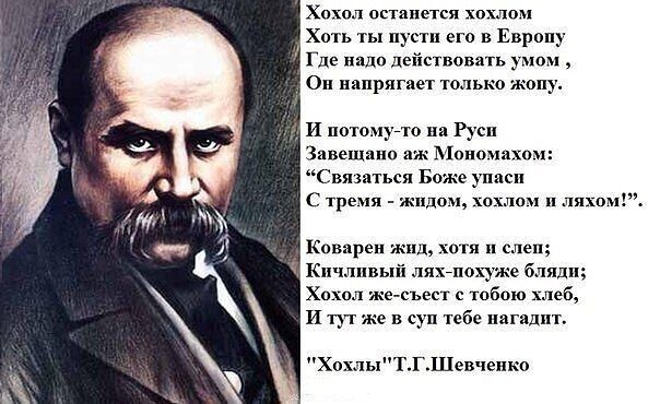 О политике и не только