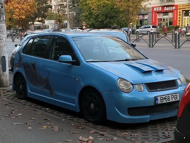 Автовсячина