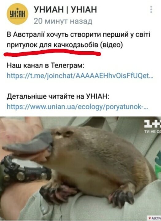 Умоляю! Только не переводите на русский язык! Получите наслаждение от украинской мовы!