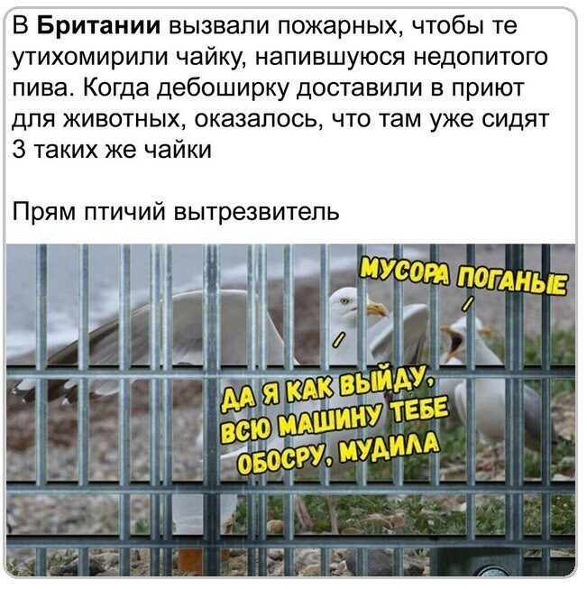 О политике и не только