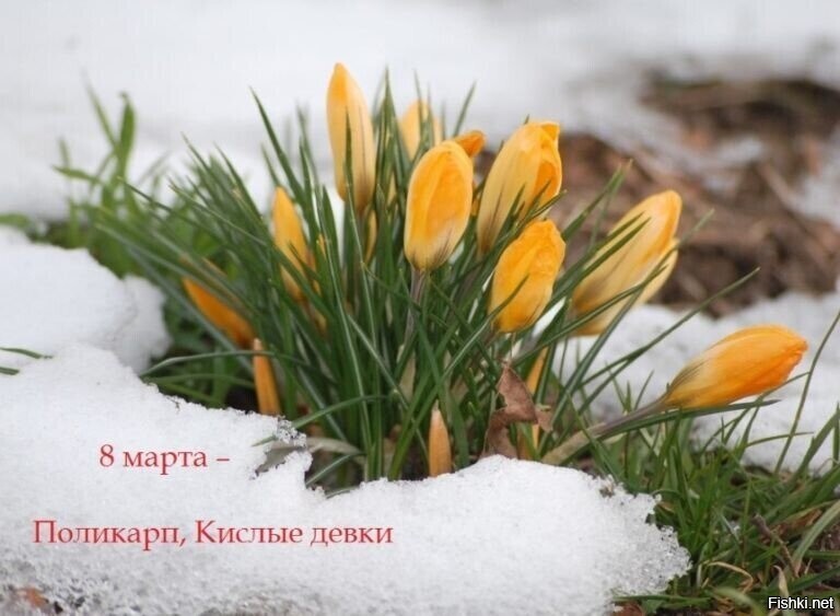 Ну, поехали) с добрым утром всех