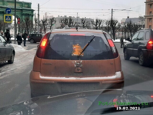 Автовсячина