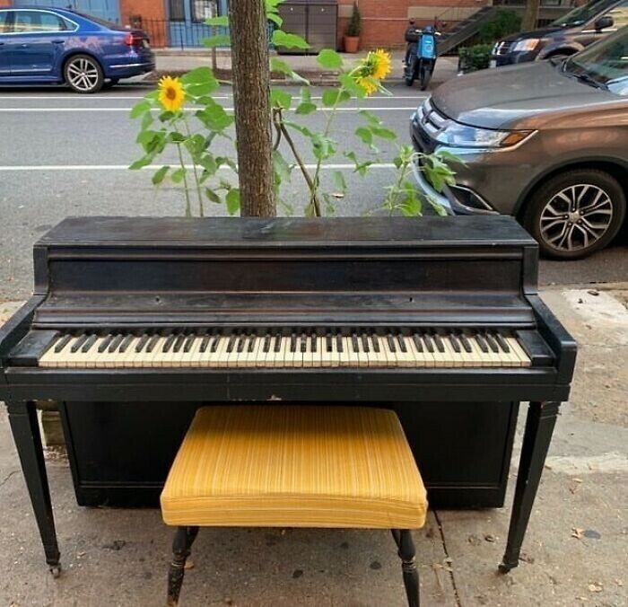 "Давно хотела себе такое прекрасное пианино!"