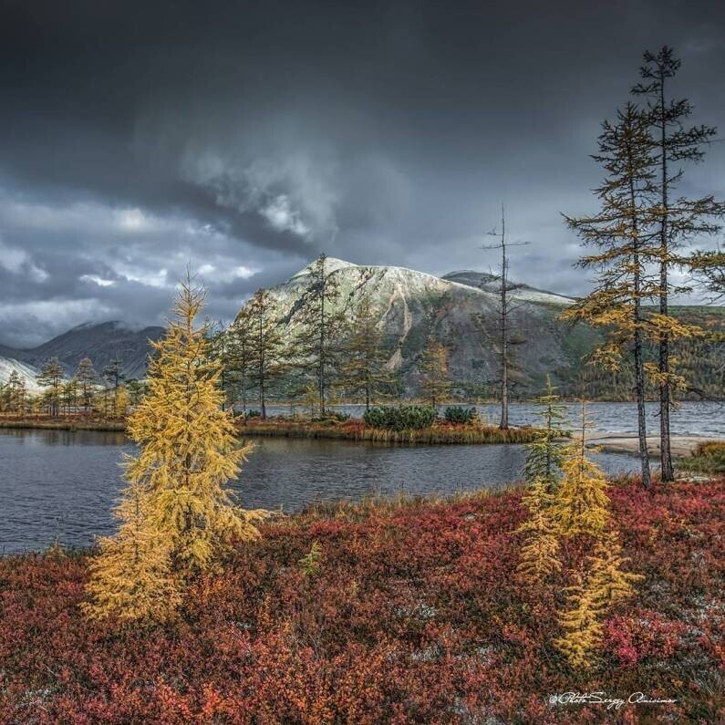 Фотограф Сергей Анисимов. Часть 2