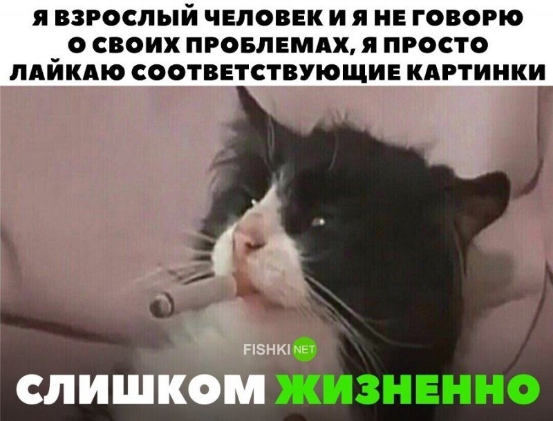 Скрины из соцсетей