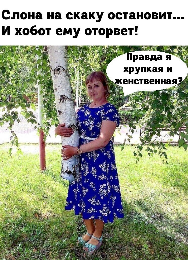 Веселые  картинки